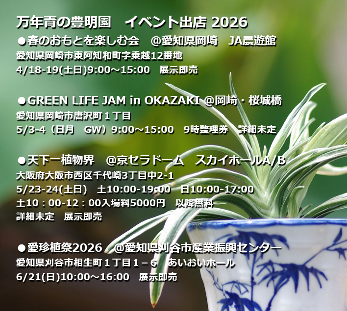 イベント情報　2026　春・夏　第25回春のおもとを楽しむ会　4/18-19(土日)9:00～15:00
