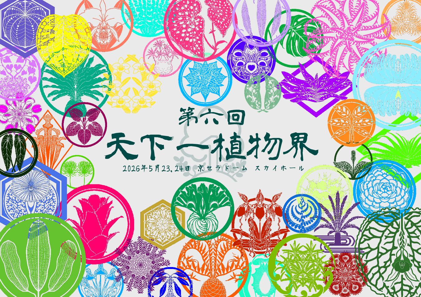 【6/25まで！！愛珍！】【天下一植物界御礼！！】【ネット限定！期間限定！！】【100,000←20万円以上】萬年青福袋！！