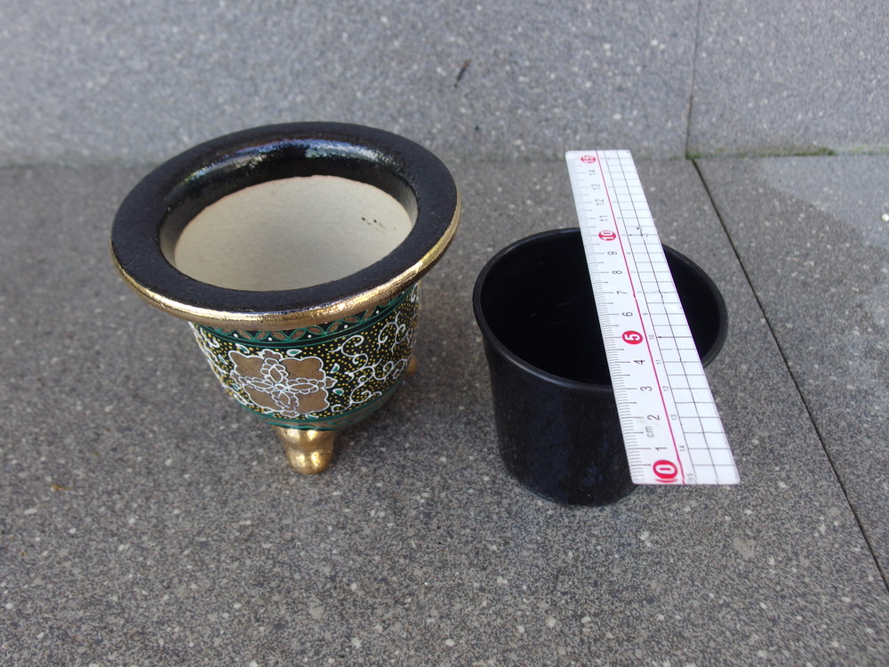2072,華唐草 万年青楽鉢 外形約11.0cm 高さ約9.4cm カバー鉢