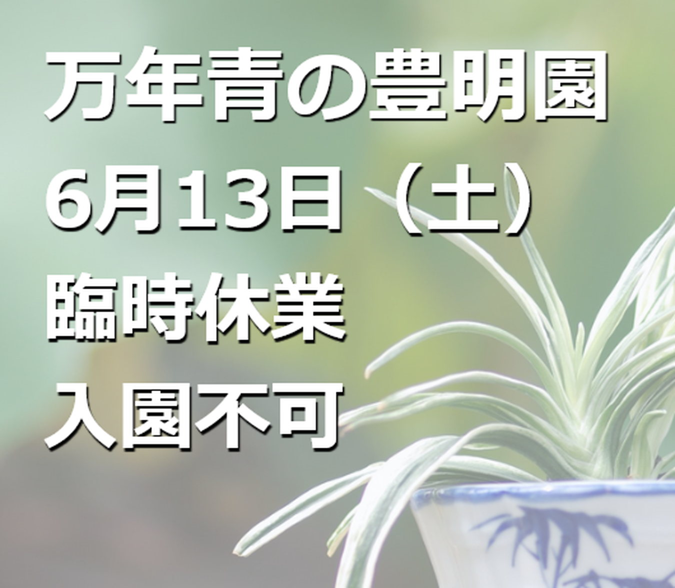 【6月13日（土）臨時休業のお知らせ】