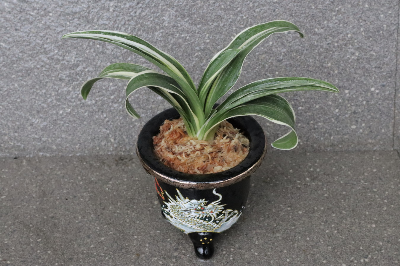 豊明園 / 引越しおもと