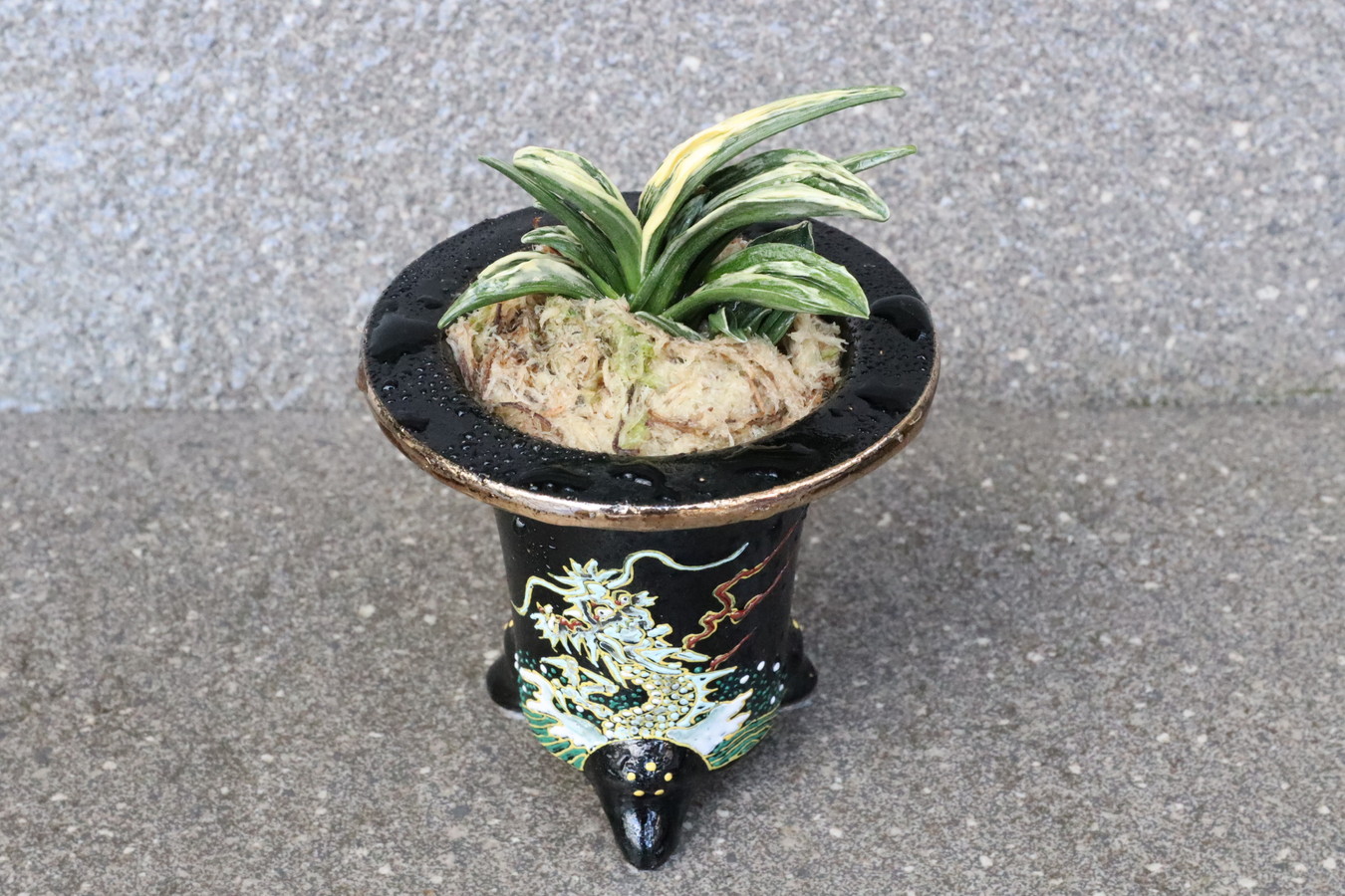 豊明園 / 引越しおもと