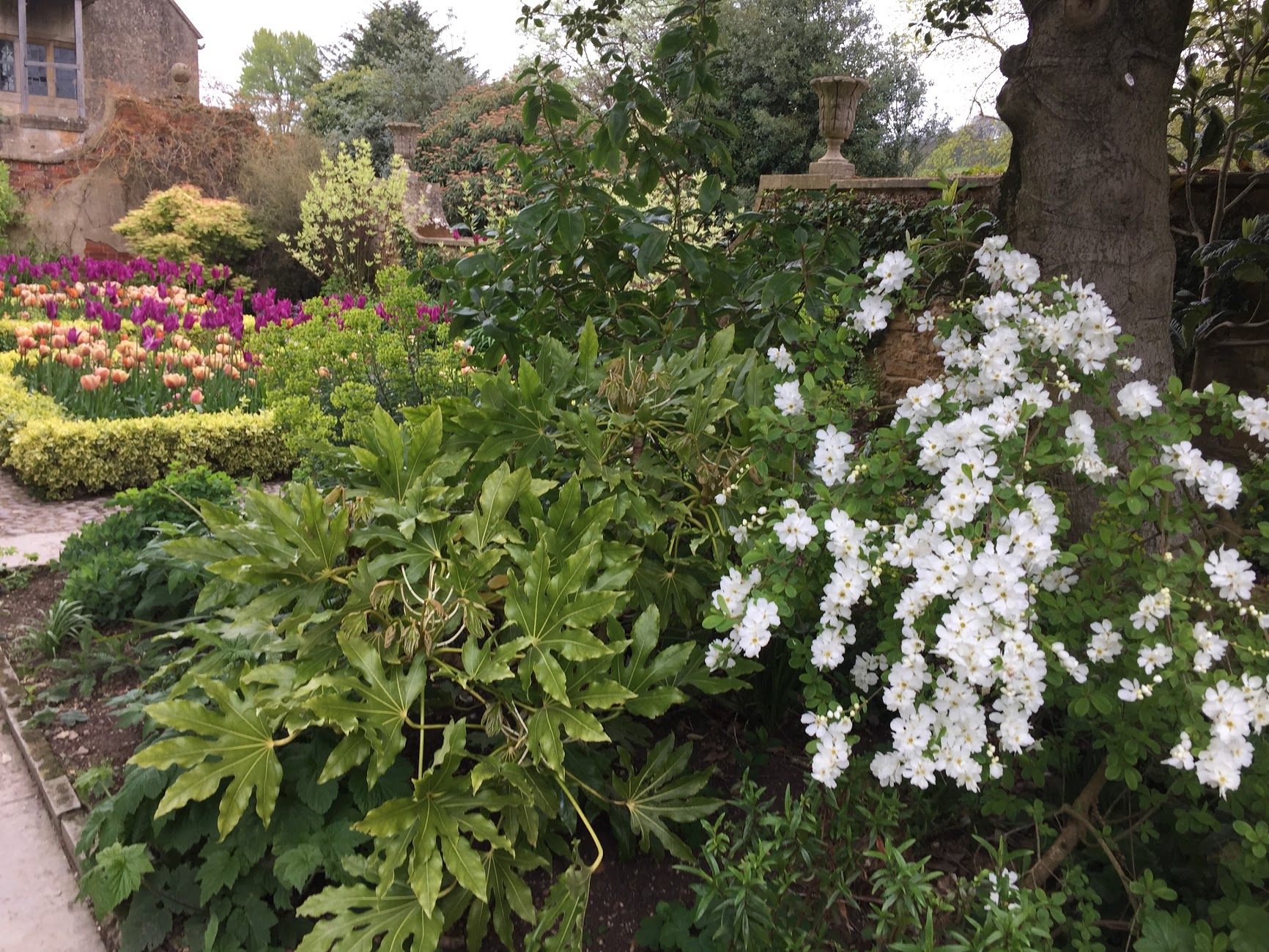 イギリス ヒドコートマナーガーデン Garden Tour イングリッシュガーデン 17 4 24 おもとの豊明園 ほうめいえん